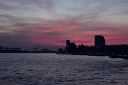 N56_9529